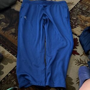 Adidas Royal Blue Track Pants